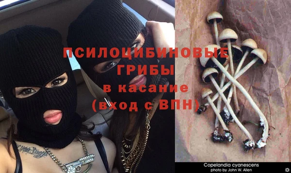 таблы Алзамай