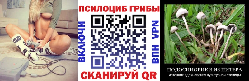 Галлюциногенные грибы Psilocybine cubensis  Самара 