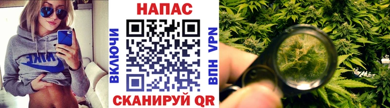 мега   Самара  Шишки марихуана VHQ 